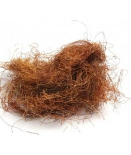 Mısır Püskülü 100 G