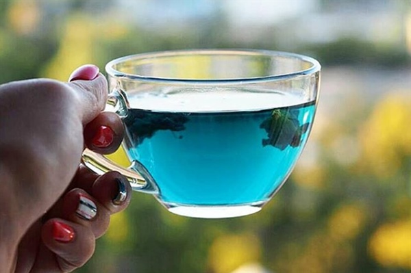 Mavi Kelebek Çayı